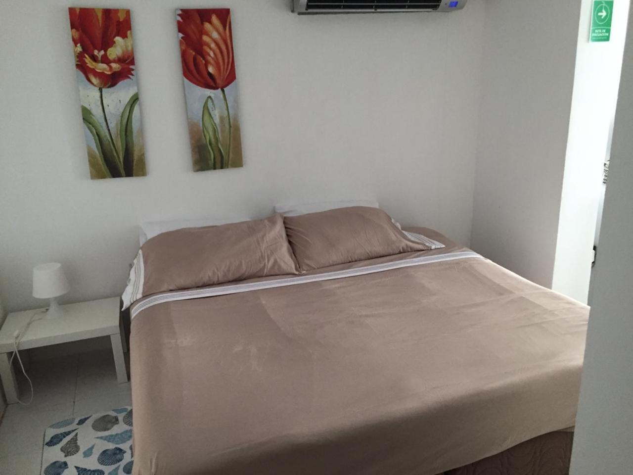 Hotel Hibiscus House San Andrés Exteriér fotografie